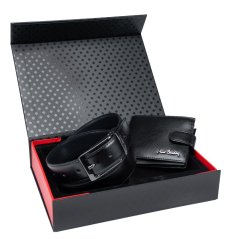 Set cadou Pierre Cardin ZG-223